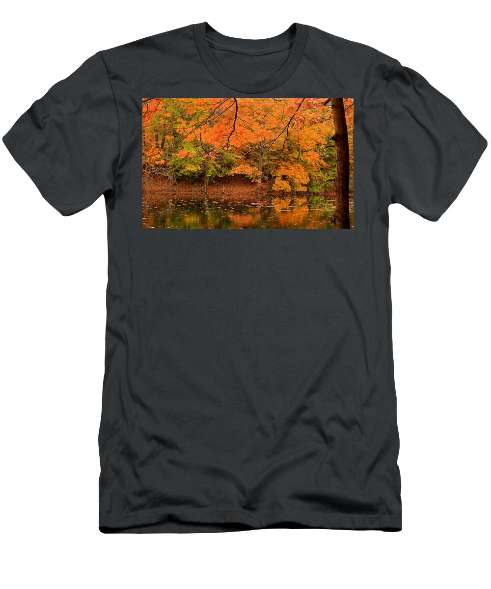 Rhode Island T-Shirt featuring the photograph Amber Afternoon by Lourry Legarde