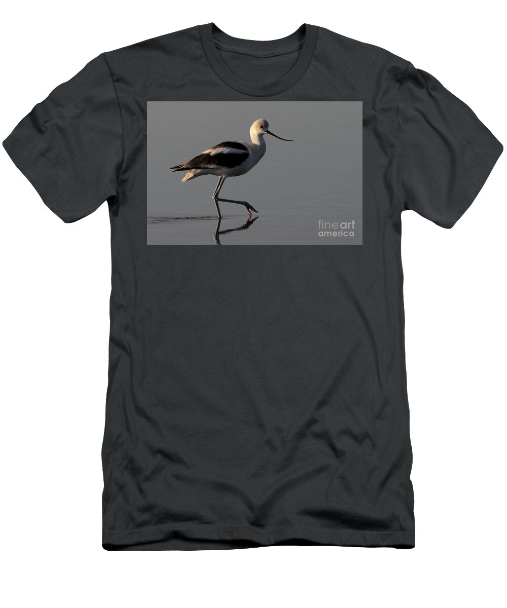American Avocet T-Shirt featuring the photograph American Avocet by Meg Rousher