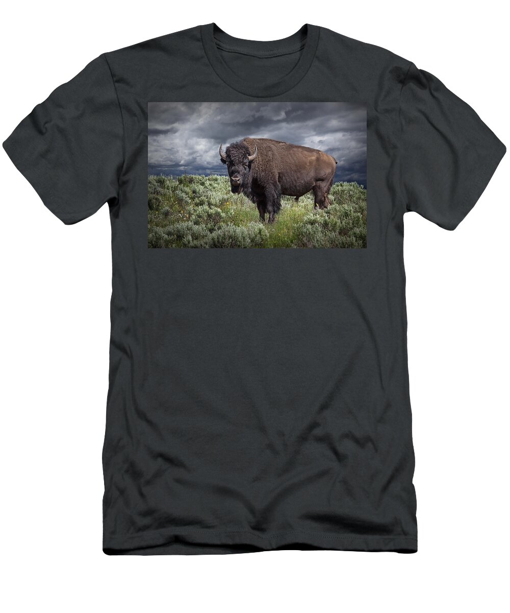 Bison T-Shirt featuring the photograph American Buffalo or Bison in Yellowstone by Randall Nyhof