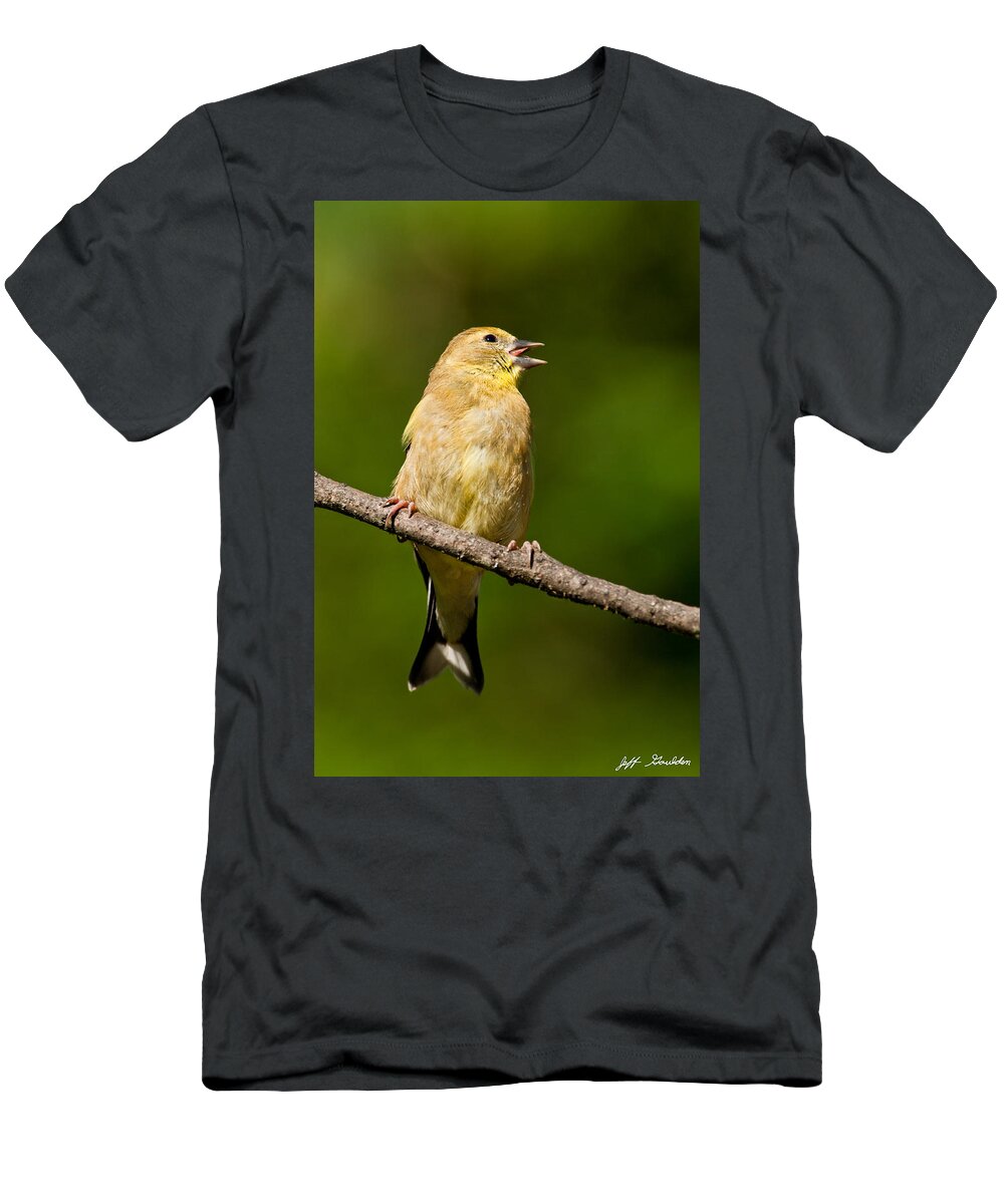 American Goldfinch T-Shirt featuring the photograph American Goldfinch Singing by Jeff Goulden