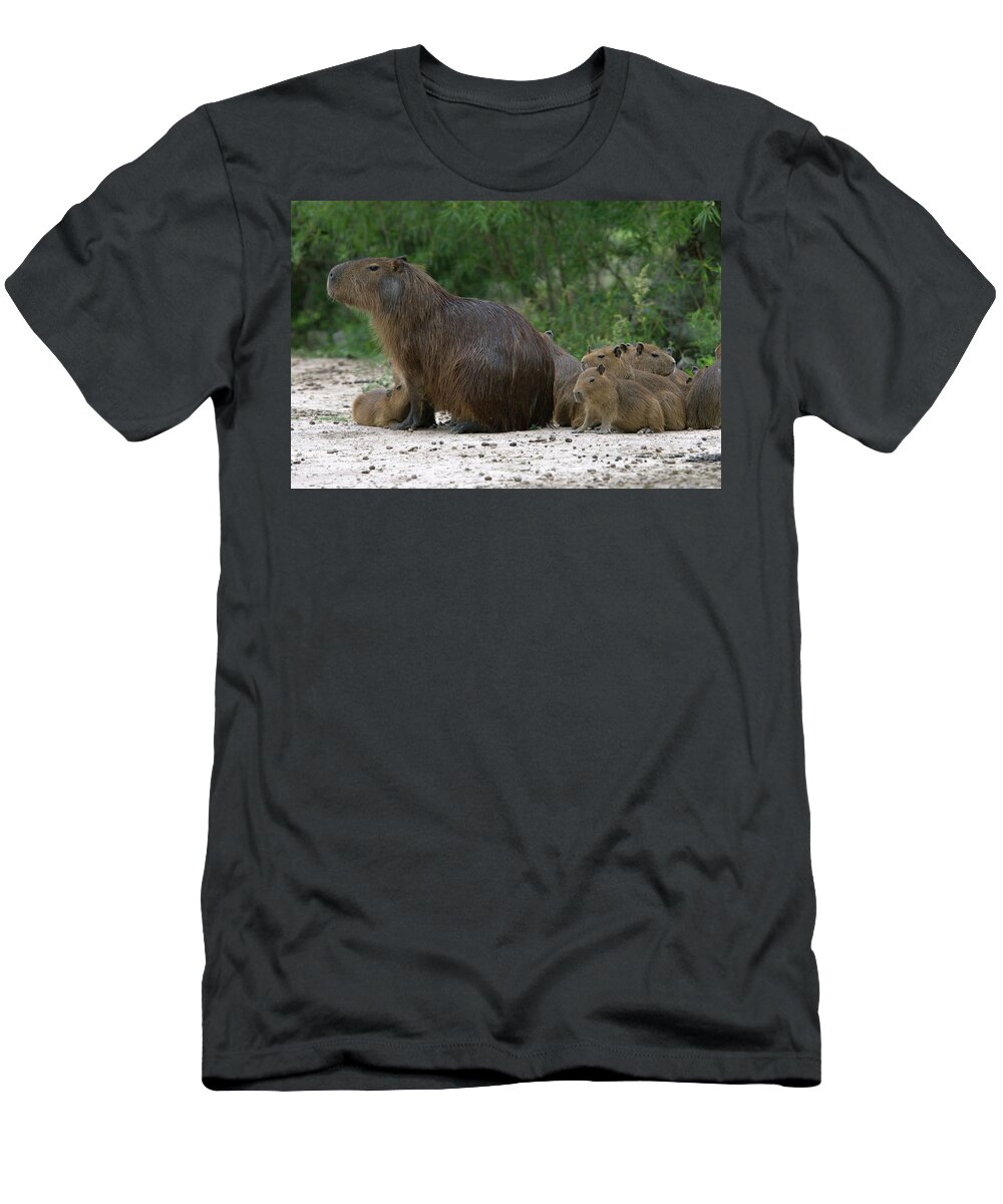 Argentina T-Shirt featuring the photograph An Adult Female Capybara Hydrochaeris by Beth Wald