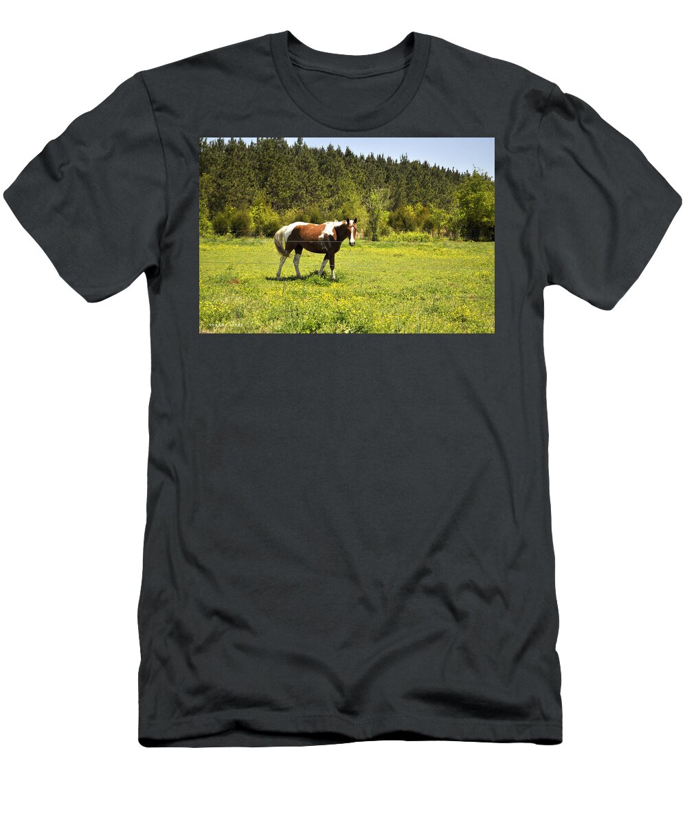 Horse T-Shirt featuring the photograph An Alabama Horse by Verana Stark