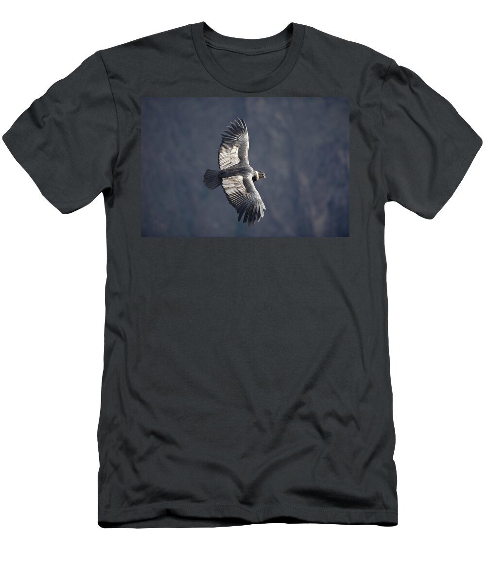 Feb0514 T-Shirt featuring the photograph Andean Condor Riding Thermal Updraft by Tui De Roy