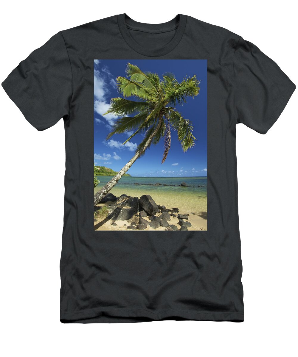 Anini Bay T-Shirt featuring the photograph Anini Beach Palm Tree by Kicka Witte