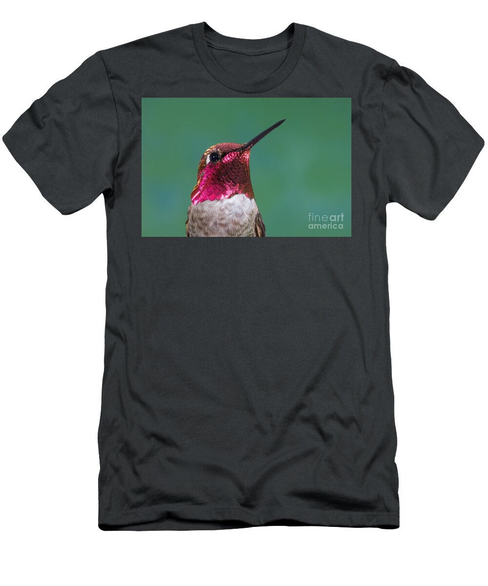 Fauna T-Shirt featuring the photograph Annas Hummingbird by Anthony Mercieca