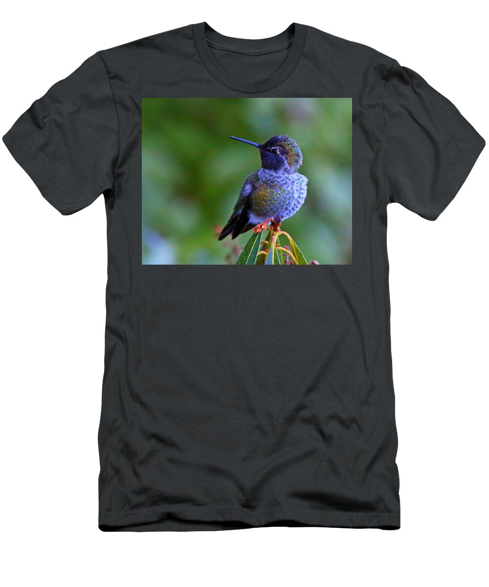 Anna's Hummingbird T-Shirt featuring the photograph Annas Hummingbird by Randy Hall