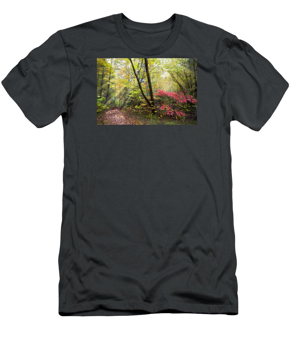 Trail T-Shirt featuring the photograph Appalachian Mountain Trail by Debra and Dave Vanderlaan