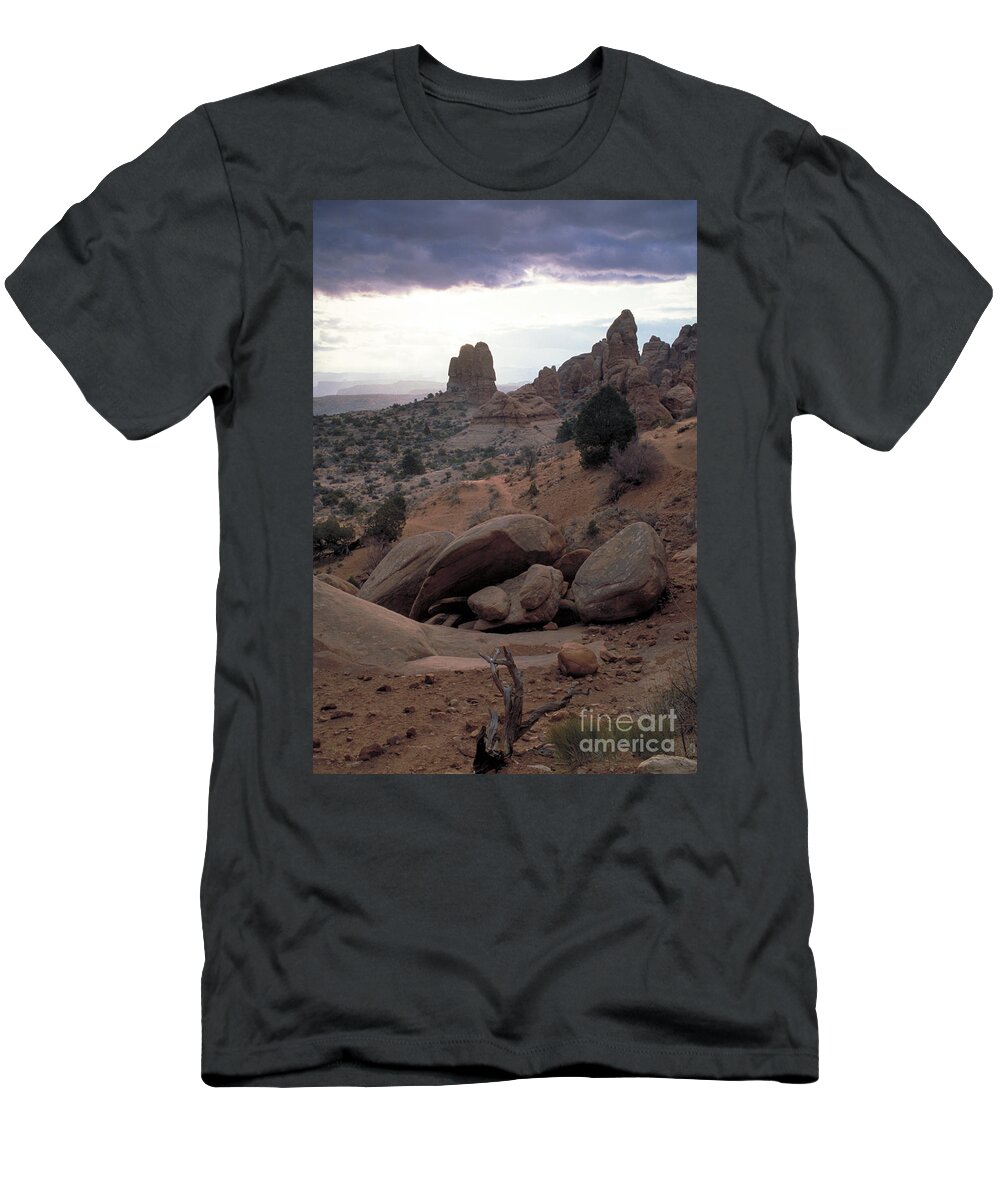 Sandstone T-Shirt featuring the photograph Arches N P, Utah by George Ranalli