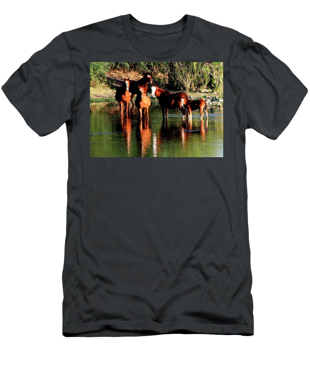 Wild Horses T-Shirt featuring the photograph Arizona Wild Horses by Matalyn Gardner