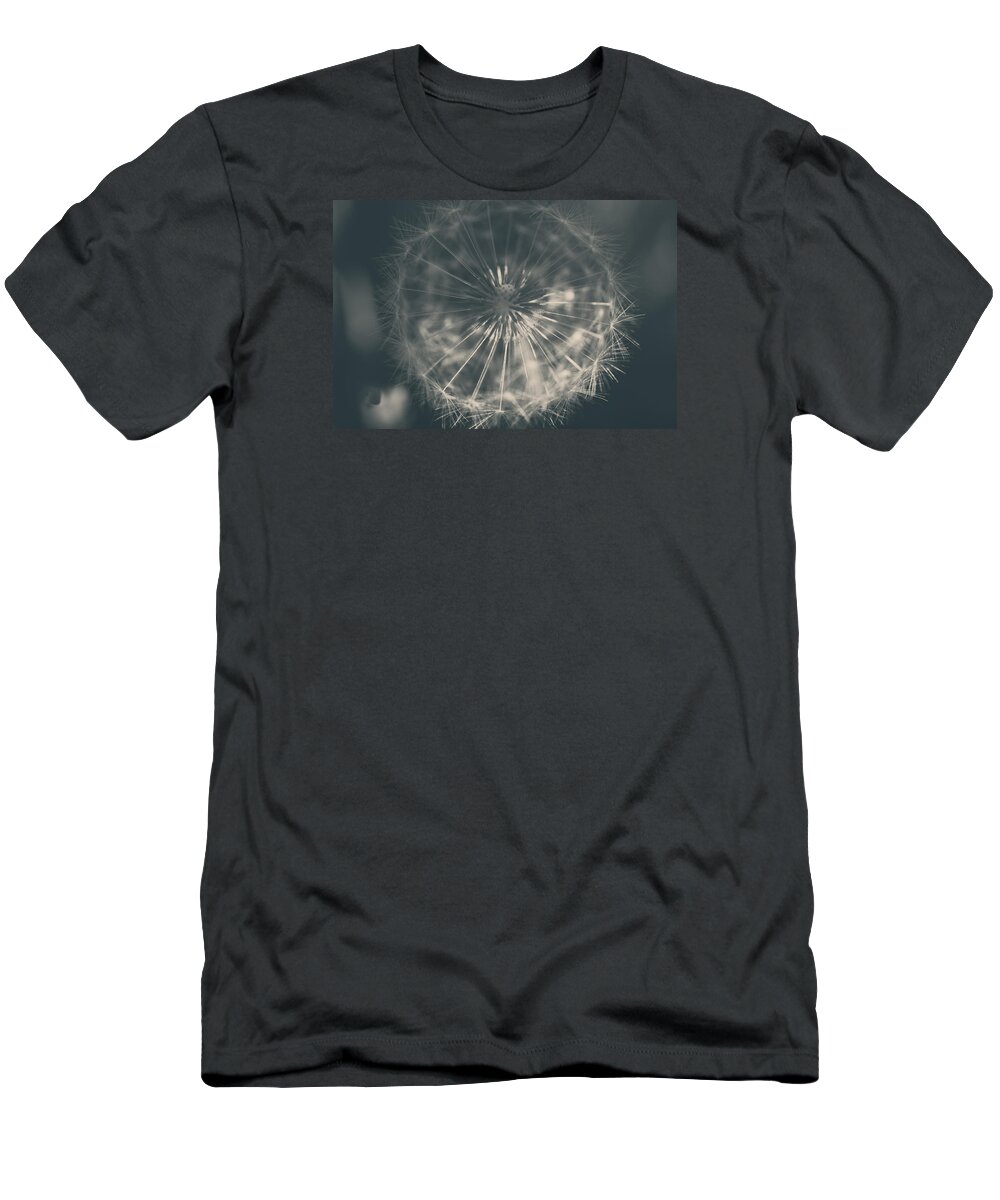Dandelions T-Shirt featuring the photograph As Long as the Sun Still Shines by Laurie Search