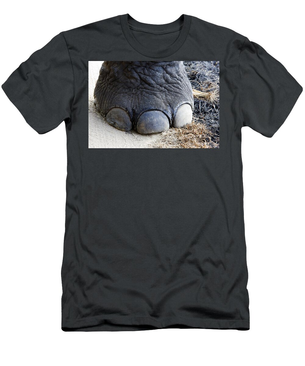 Asian Elephant T-Shirt featuring the photograph Asian Elephant Foot by M. Watson