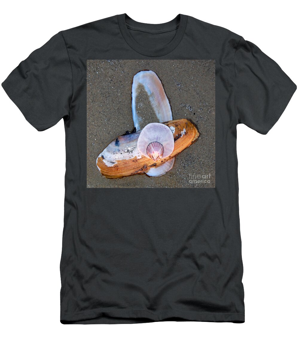 Barnacle T-Shirt featuring the photograph Attached Marine Life by Debra Thompson