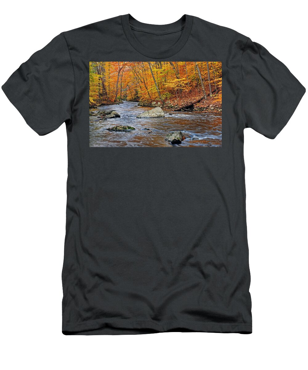Black River T-Shirt featuring the photograph Autumn At The Black River by Dave Mills