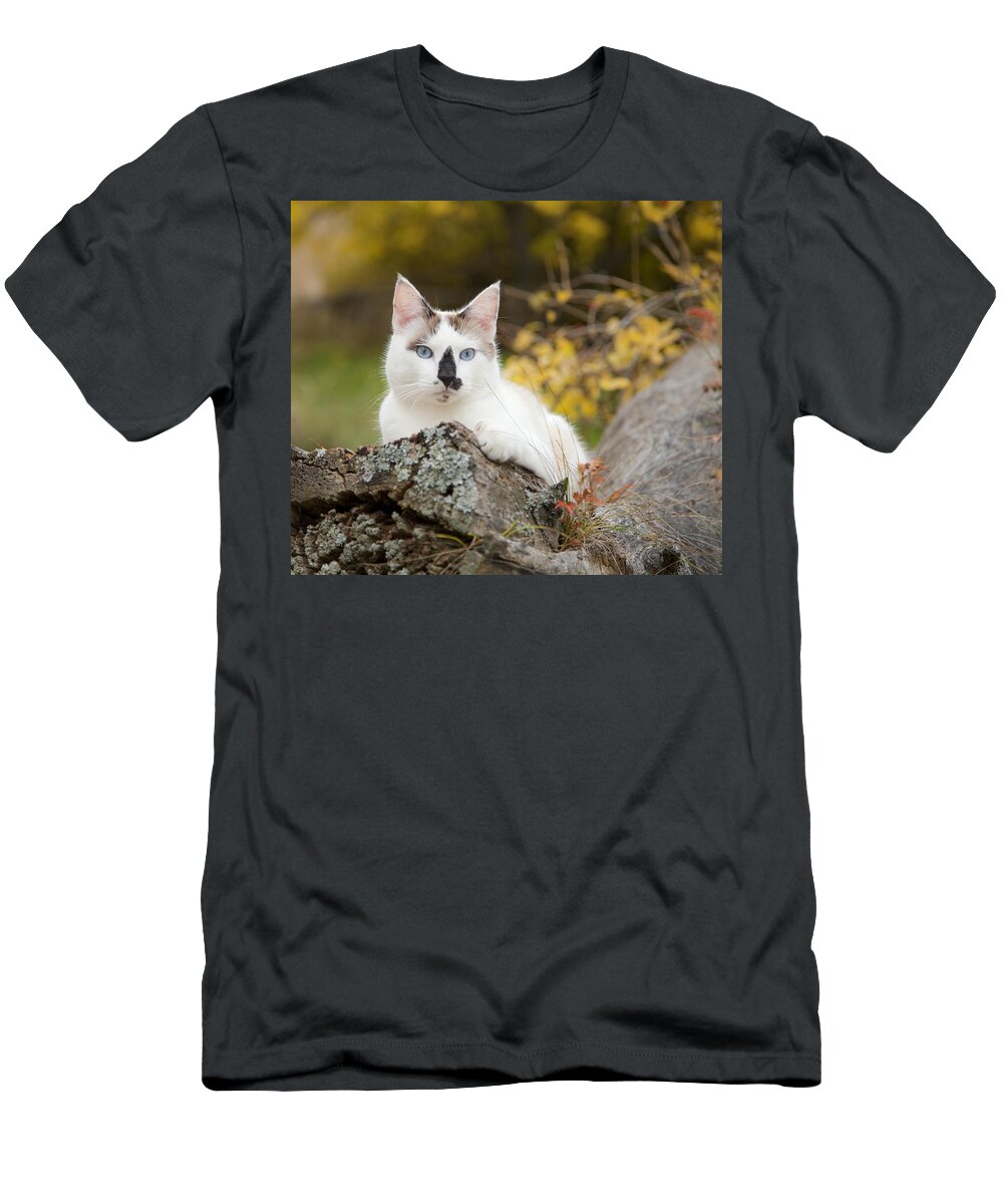 Autumn T-Shirt featuring the photograph Autumn Cat by Theresa Tahara