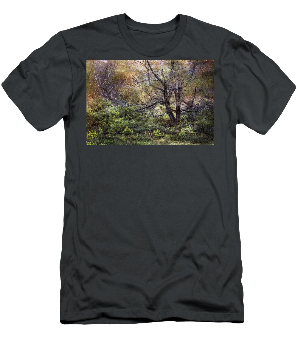 Apalachia T-Shirt featuring the photograph Autumn Enchantment by Debra and Dave Vanderlaan