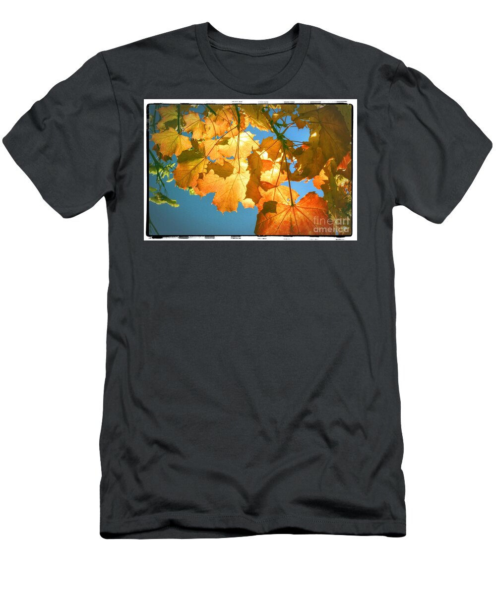 Autumn T-Shirt featuring the photograph Autumn Found by Spikey Mouse Photography