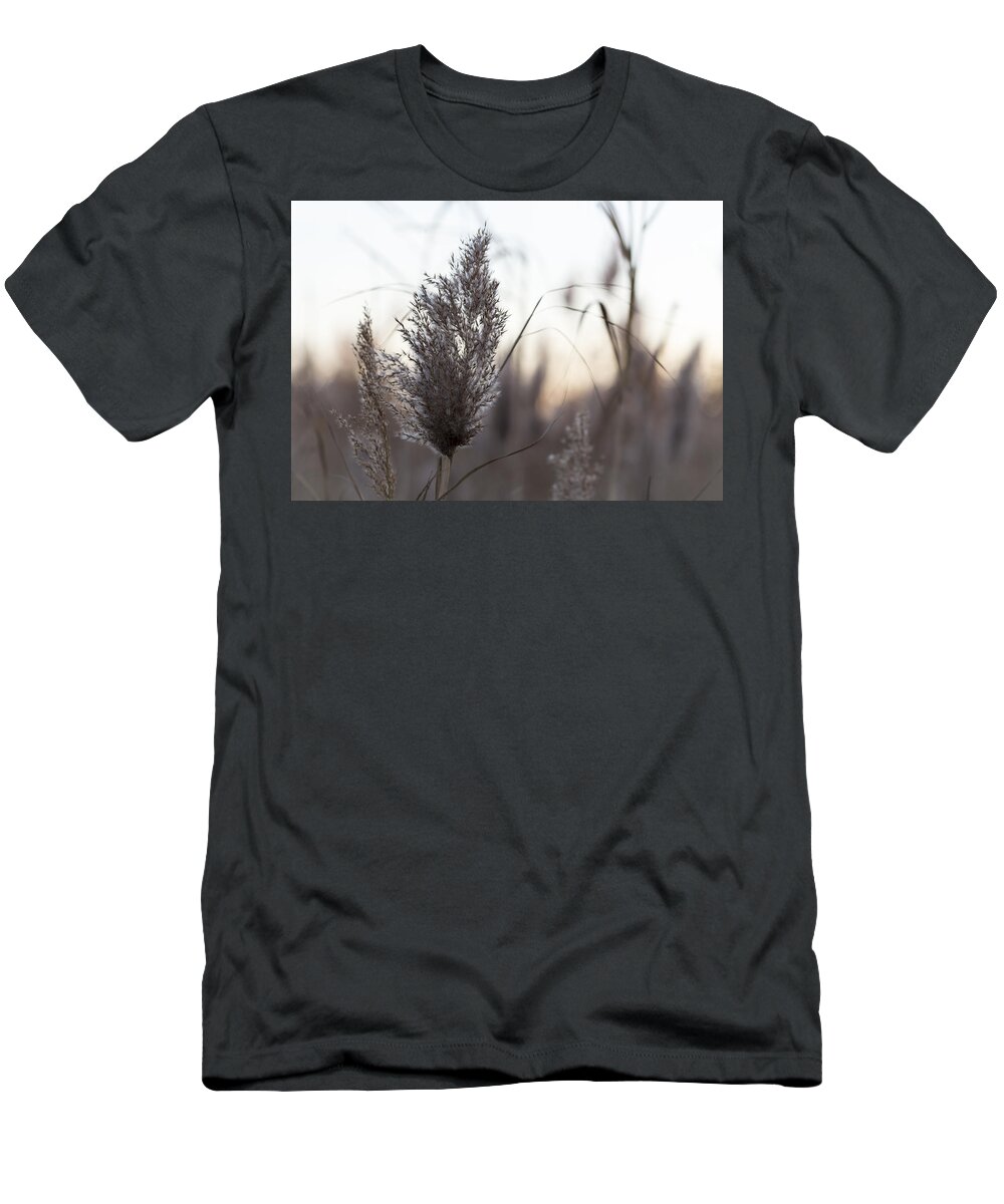 Andrew Pacheco T-Shirt featuring the photograph Autumn in The Tall Grass by Andrew Pacheco