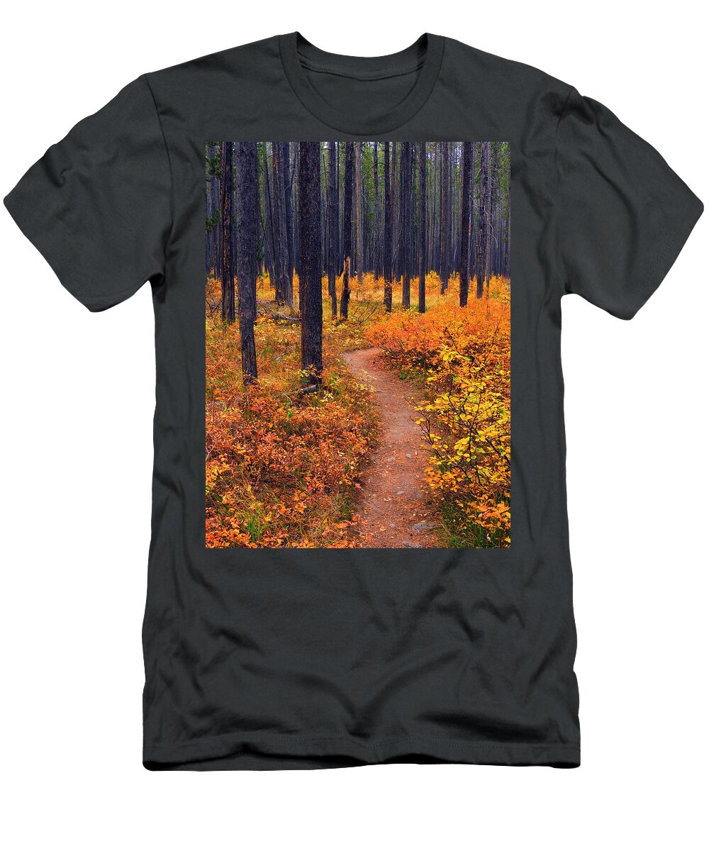 Yellowstone T-Shirt featuring the photograph Autumn in Yellowstone by Raymond Salani III