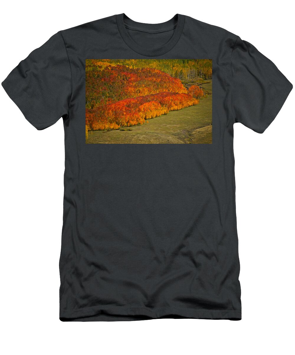 Altitude10k Photography T-Shirt featuring the photograph Autumn Lava Flow by Jeremy Rhoades
