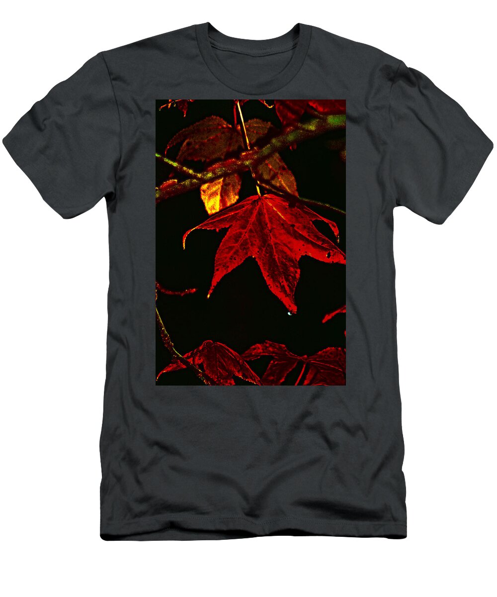 Red Leaves T-Shirt featuring the photograph Autumn Leaves by Lesa Fine