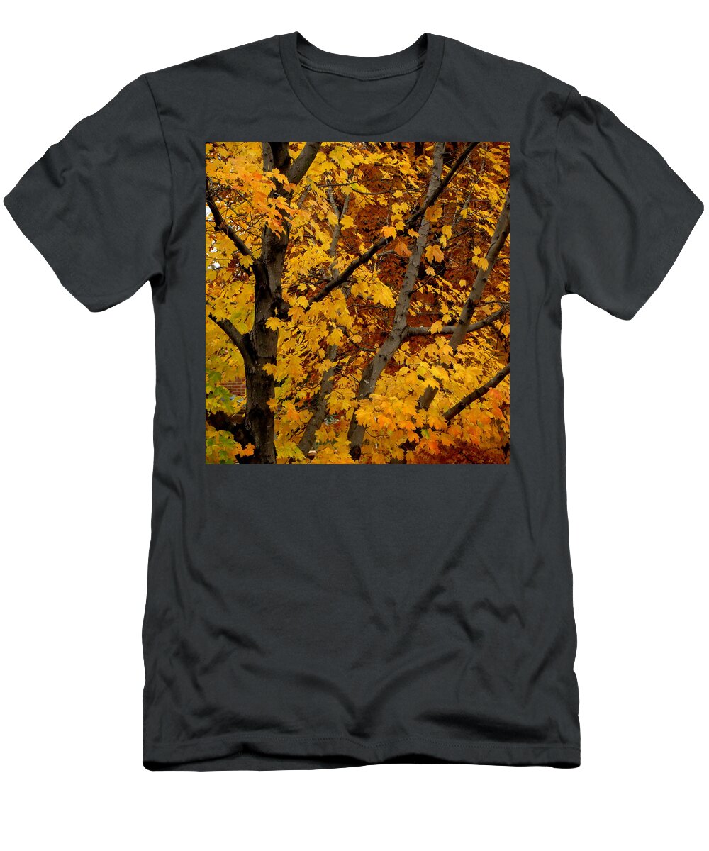 Fall T-Shirt featuring the photograph Autumn Moods 21 by Rodney Lee Williams