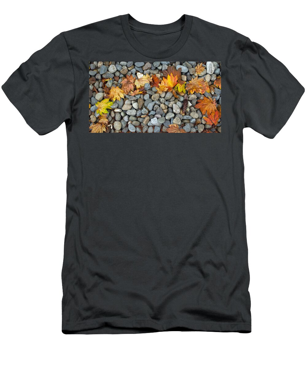 Autumn T-Shirt featuring the photograph Autumn Rainbow by Tikvah's Hope