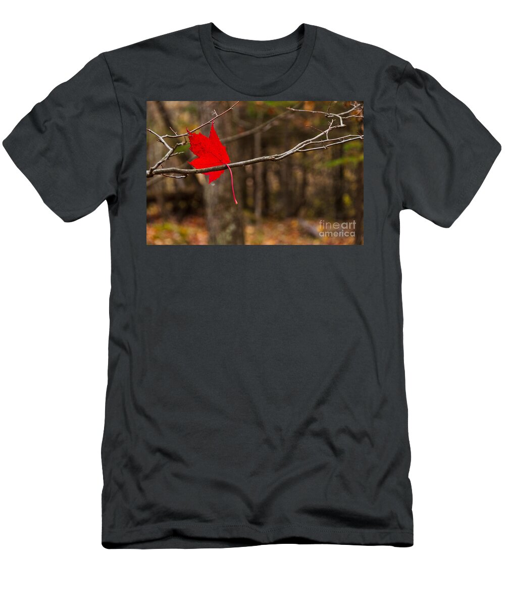 Landscapes T-Shirt featuring the photograph Autumn Red by Cheryl Baxter