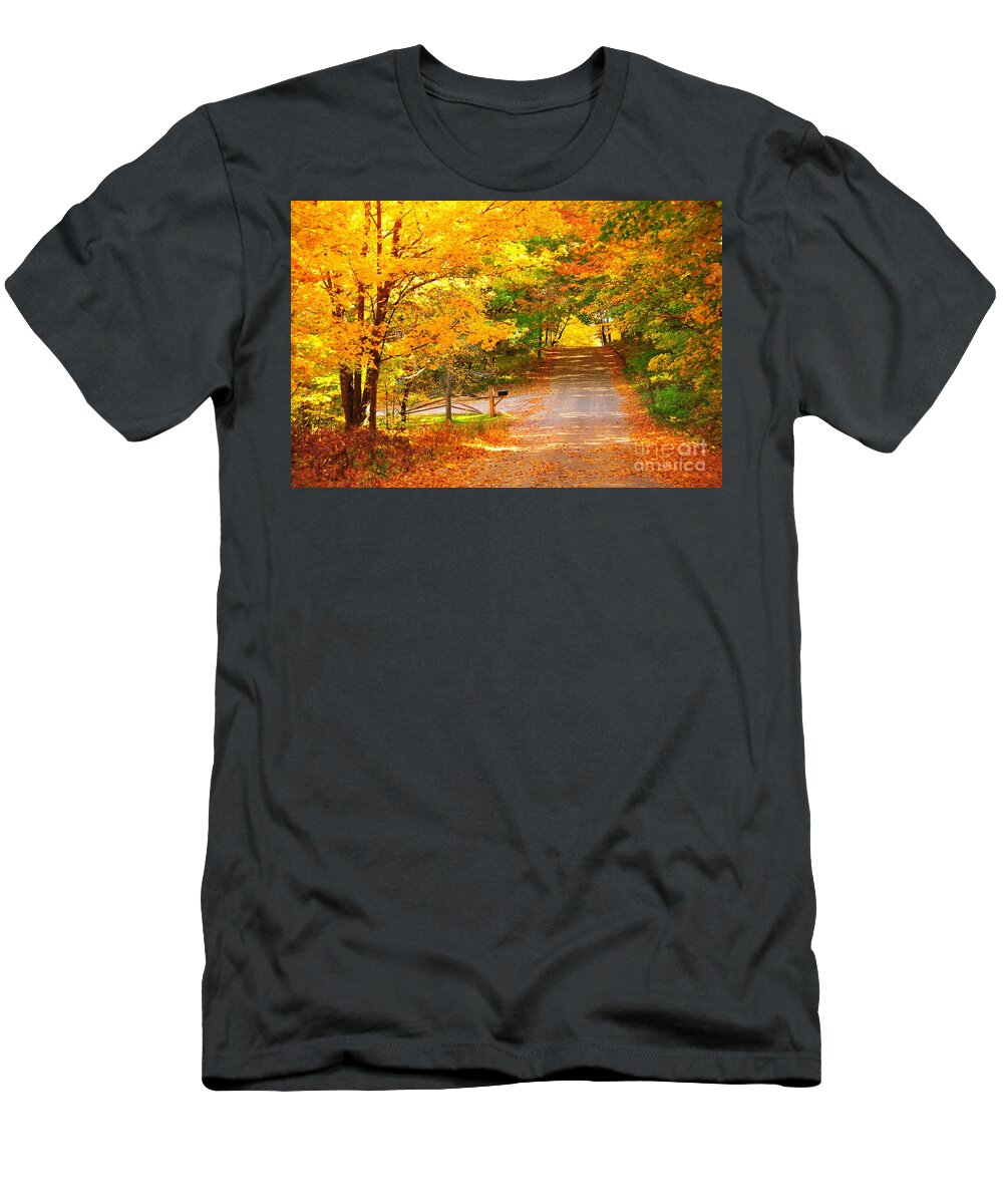 Autumn T-Shirt featuring the photograph Autumn Road Home by Terri Gostola