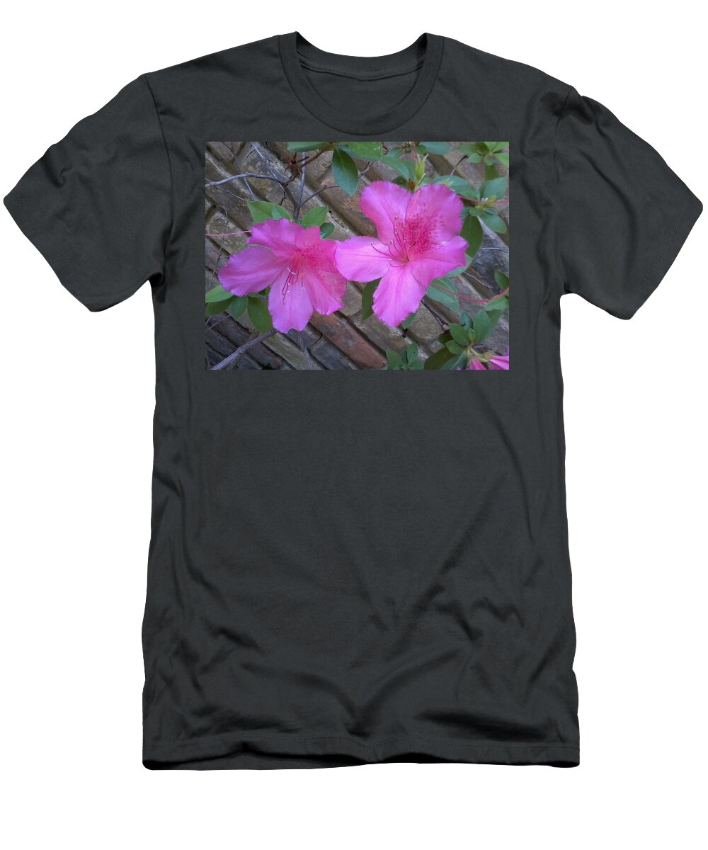 Azalea Pink Flower Lacy T-Shirt featuring the photograph Azalea 1 by Cindy New