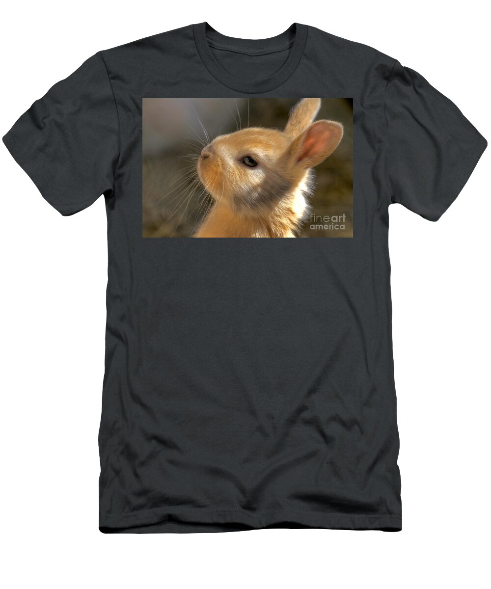 Rabbit T-Shirt featuring the photograph Baby Bunny by TJ Baccari