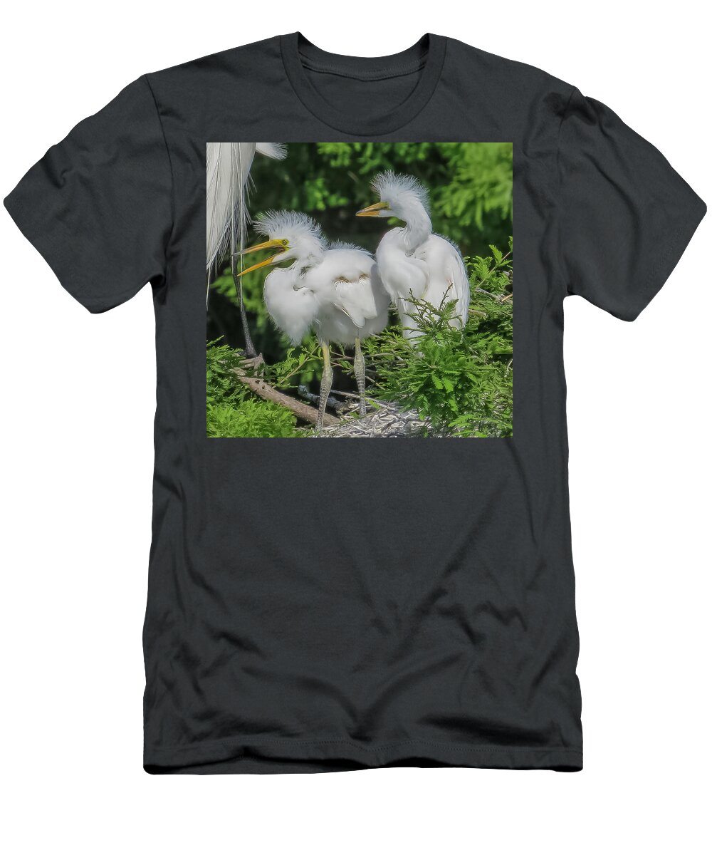 Florida T-Shirt featuring the photograph Baby egrets by Jane Luxton