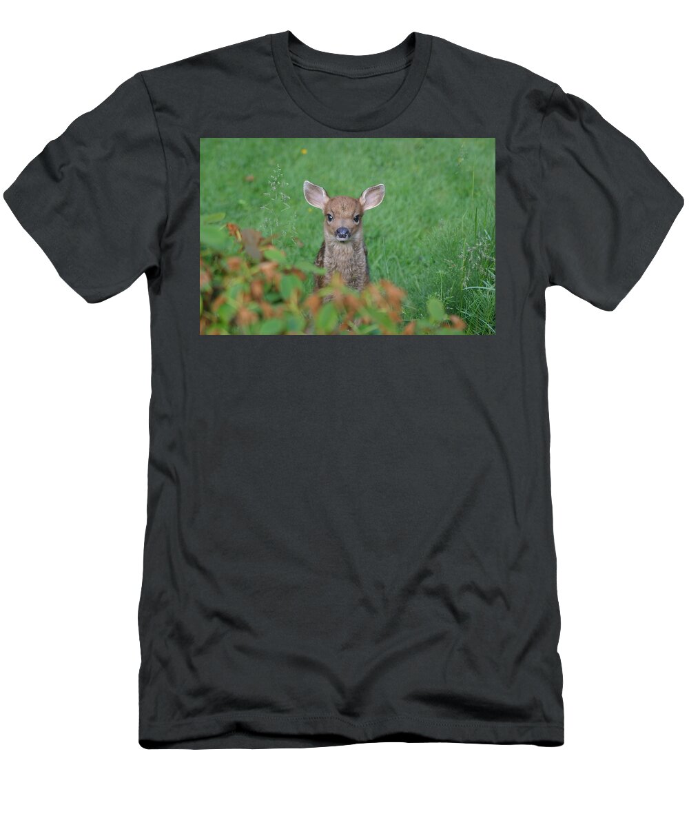 Kym Backland T-Shirt featuring the photograph Baby Fawn In Yard by Kym Backland
