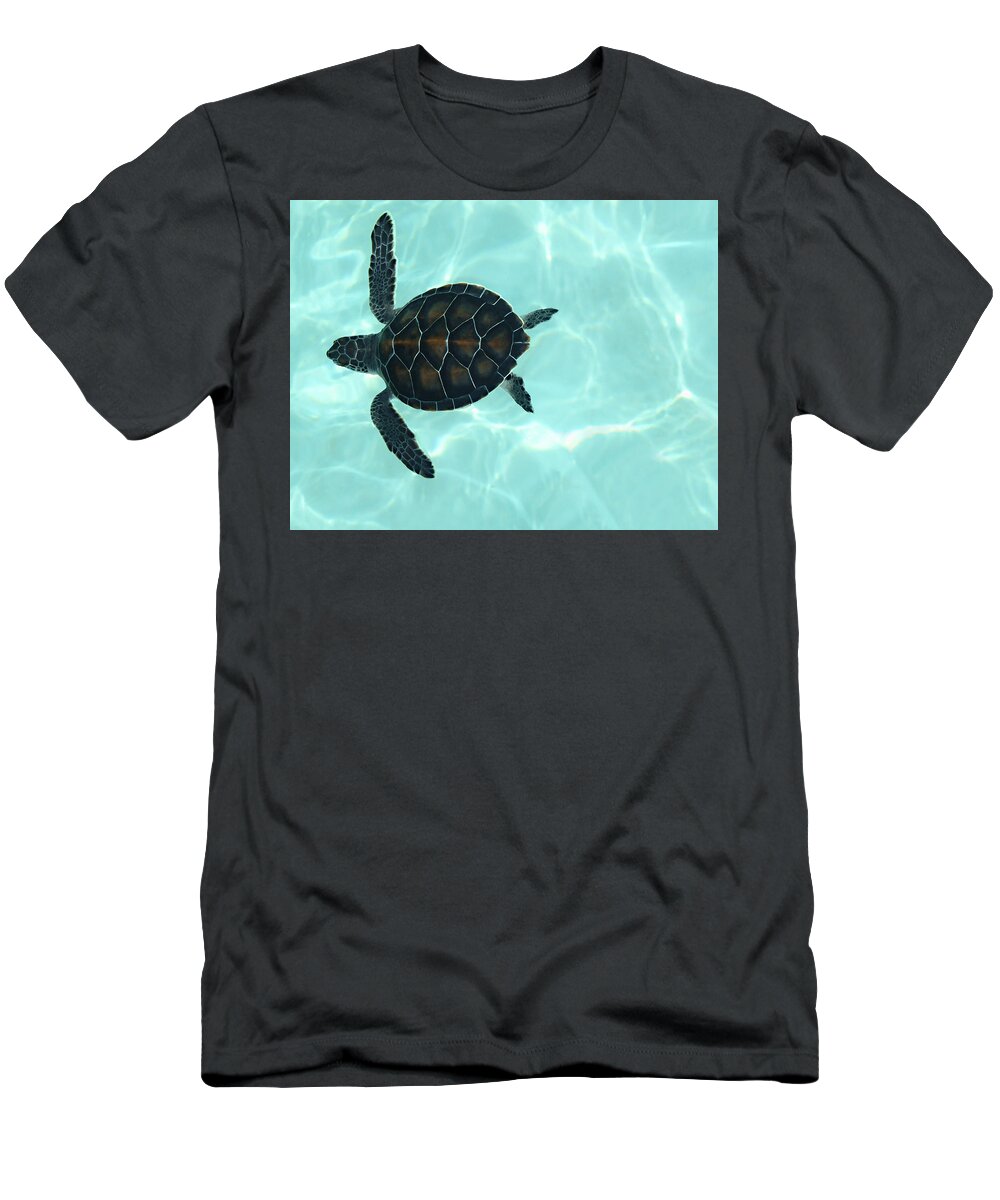 Swimming Baby Sea Turtle T-Shirt featuring the photograph Baby Sea Turtle by Ellen Henneke