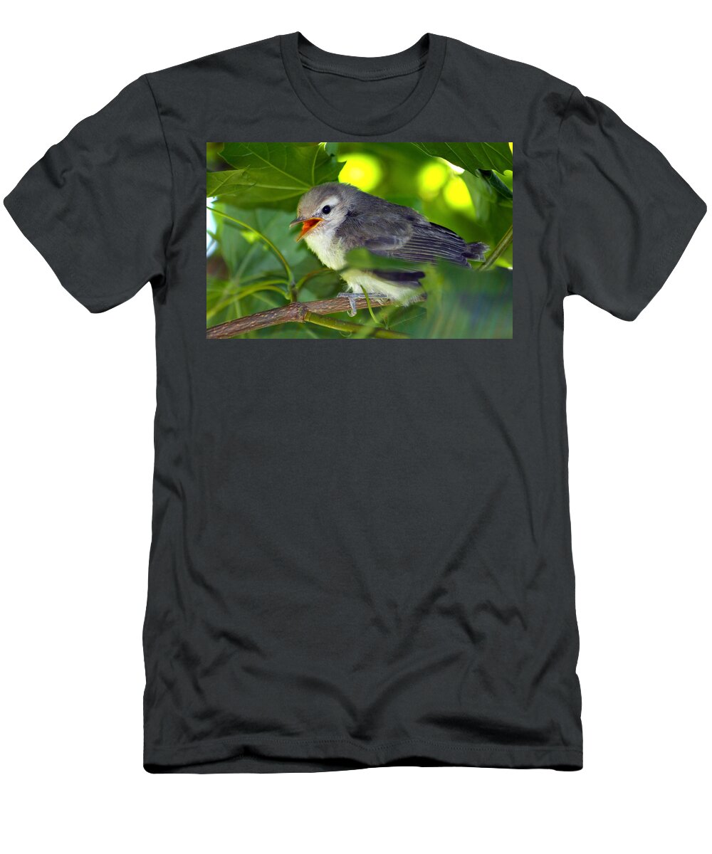 Sparrow T-Shirt featuring the photograph Baby Sparrow in the Maple Tree by Karon Melillo DeVega