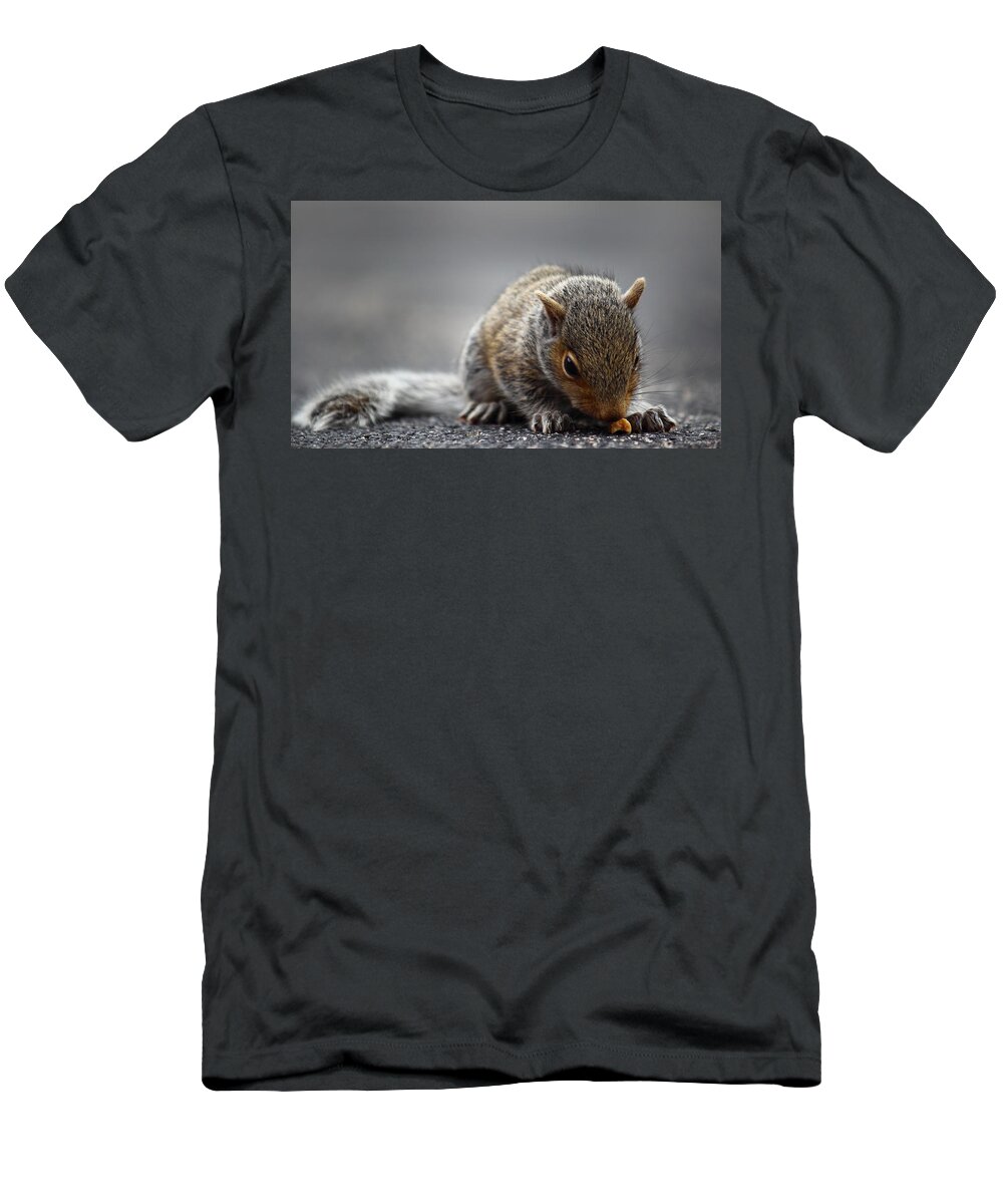 Squirrel T-Shirt featuring the photograph Baby Squirrel Gets a Snack by Andrew Pacheco