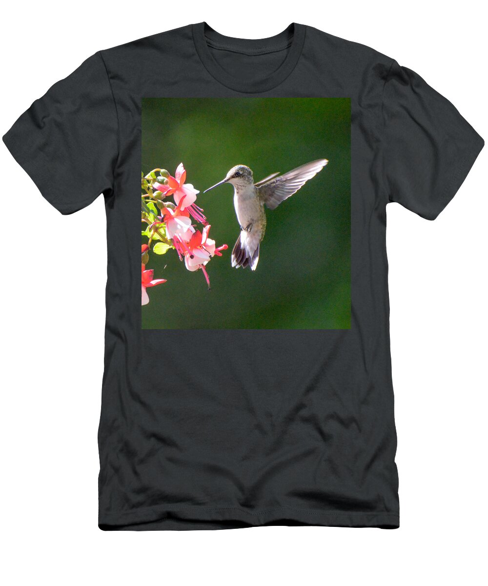 Ruby Throated Hummingbird T-Shirt featuring the photograph Backlit Fuchsia and Hummer by Amy Porter