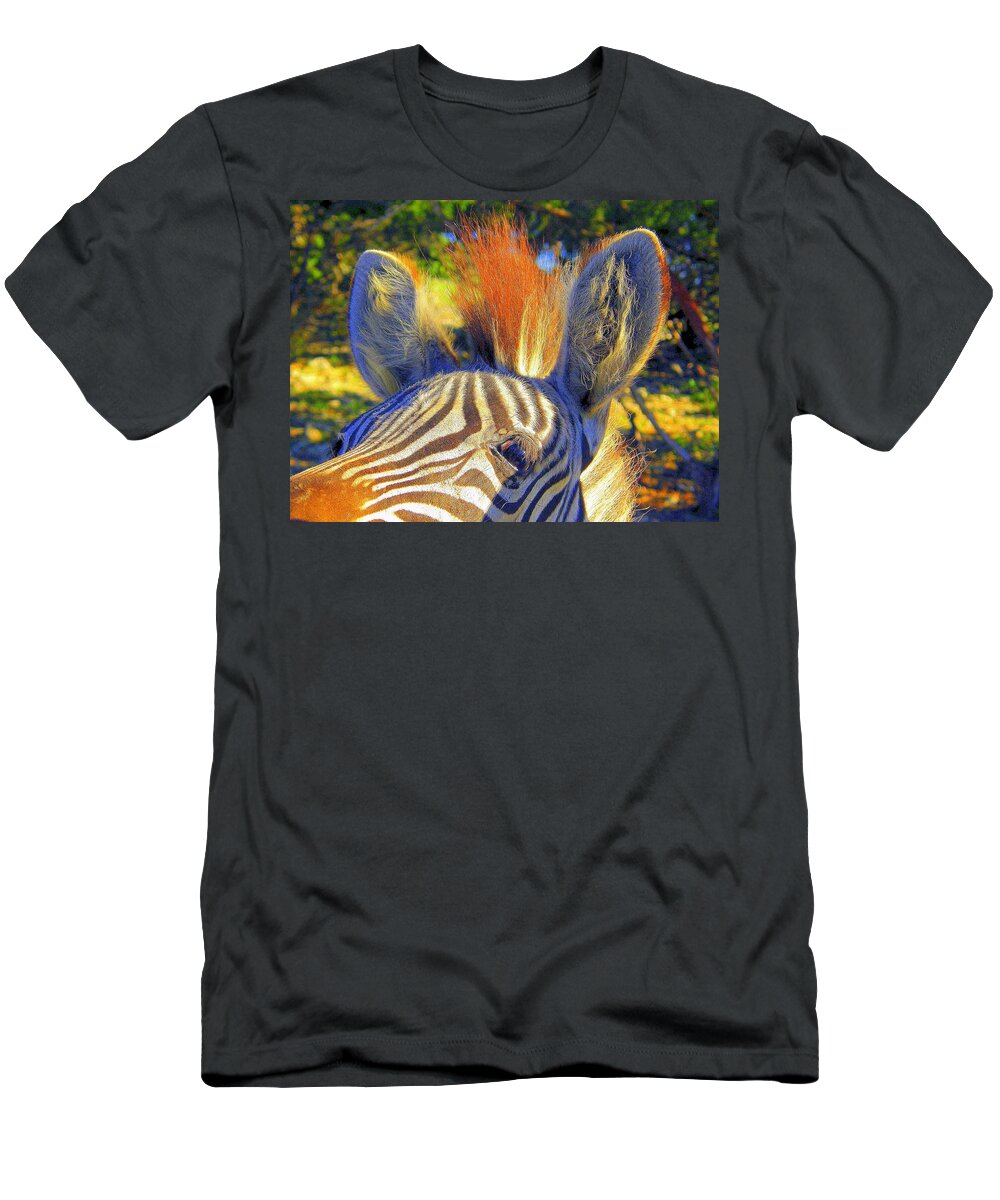 Mammals T-Shirt featuring the photograph Bad Fur Day Sold by Antonia Citrino