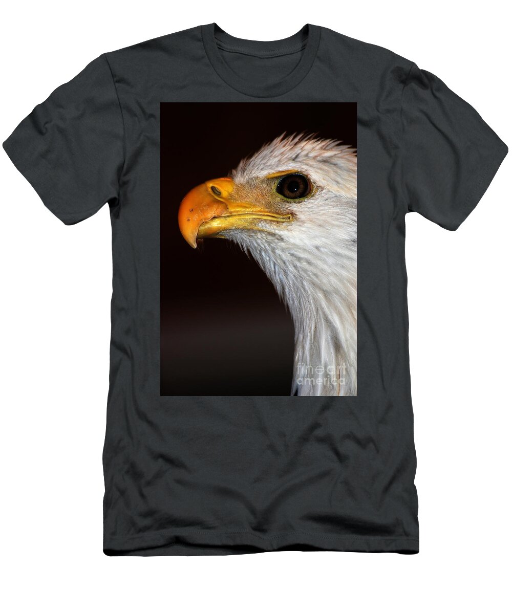 Bald Eagle T-Shirt featuring the photograph Bald Eagle by John Greco