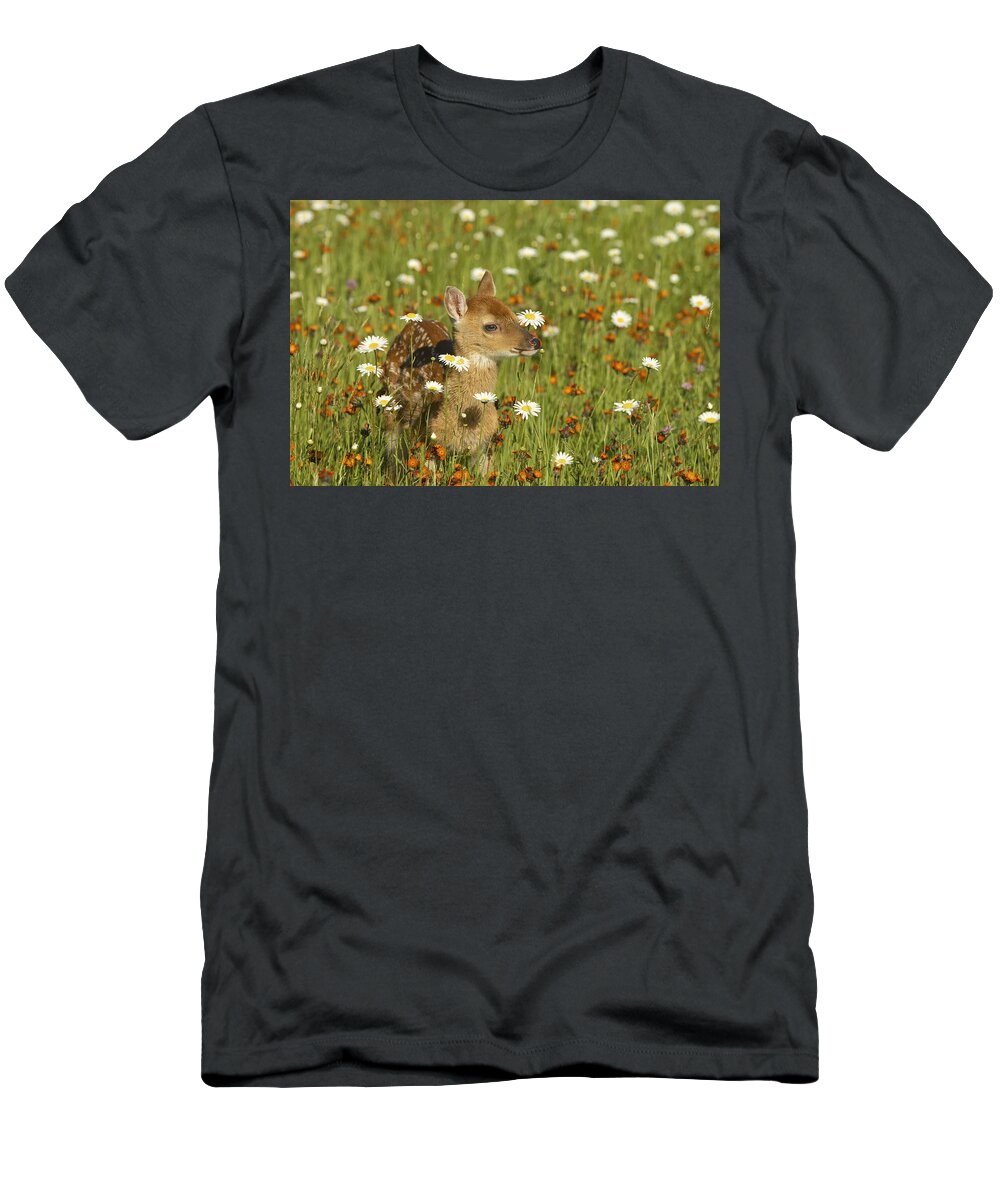 Fawn T-Shirt featuring the photograph Bambi by Jack Milchanowski