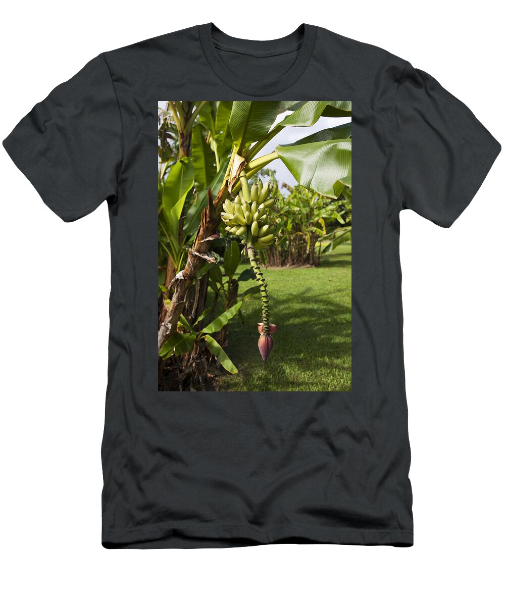 Banana T-Shirt featuring the photograph Banana Tree by Jenna Szerlag