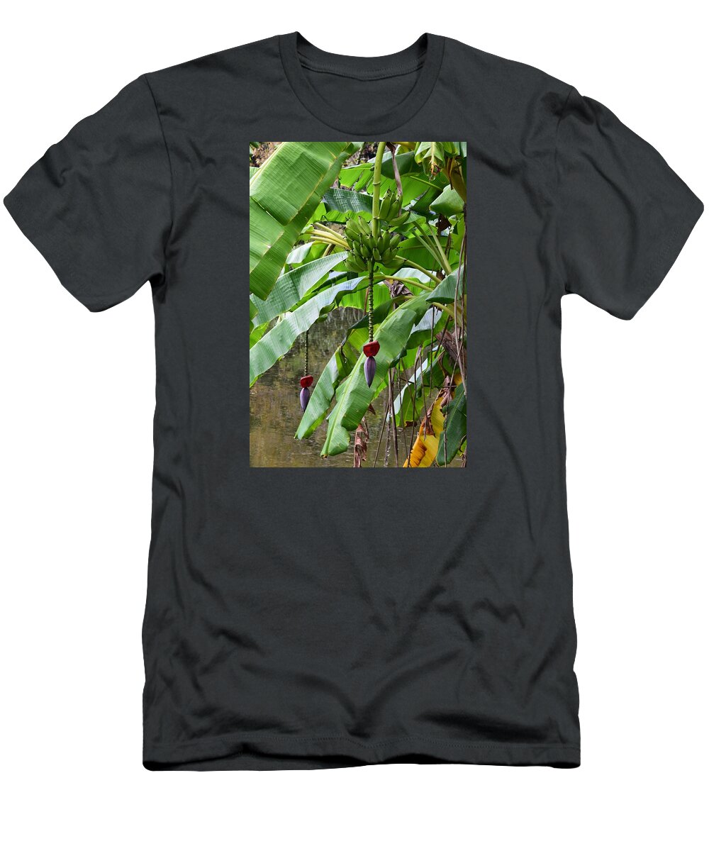 Banana T-Shirt featuring the photograph Banana Trees 1 by Sheri McLeroy