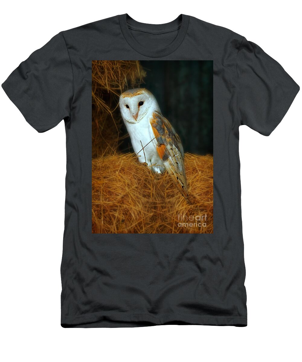 Barn Owl T-Shirt featuring the photograph Barn Owl by Louise Heusinkveld