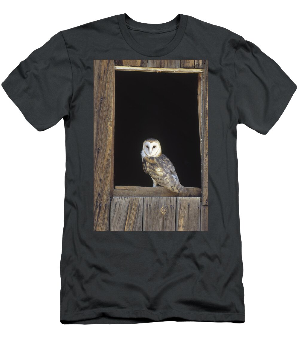 Feb0514 T-Shirt featuring the photograph Barn Owl On Barn Window by Konrad Wothe