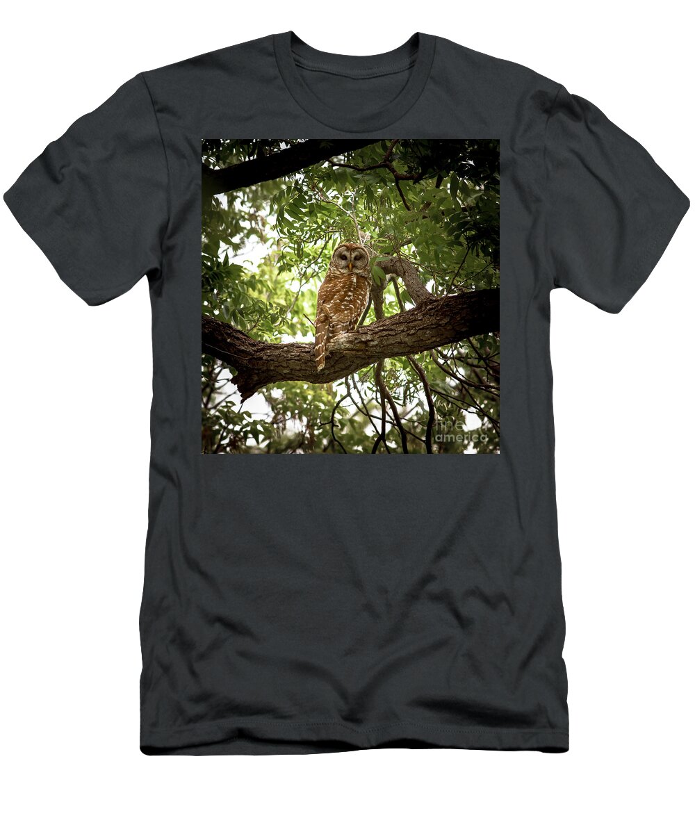 Barred T-Shirt featuring the photograph Barred Owl Under Canopy by Robert Frederick