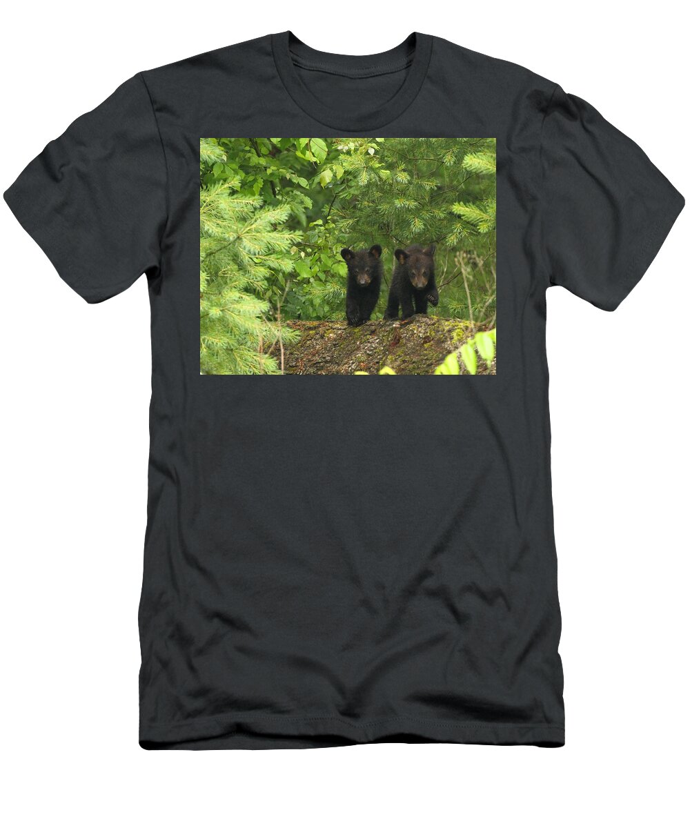 Black Bears T-Shirt featuring the photograph Bear Buddies by Coby Cooper