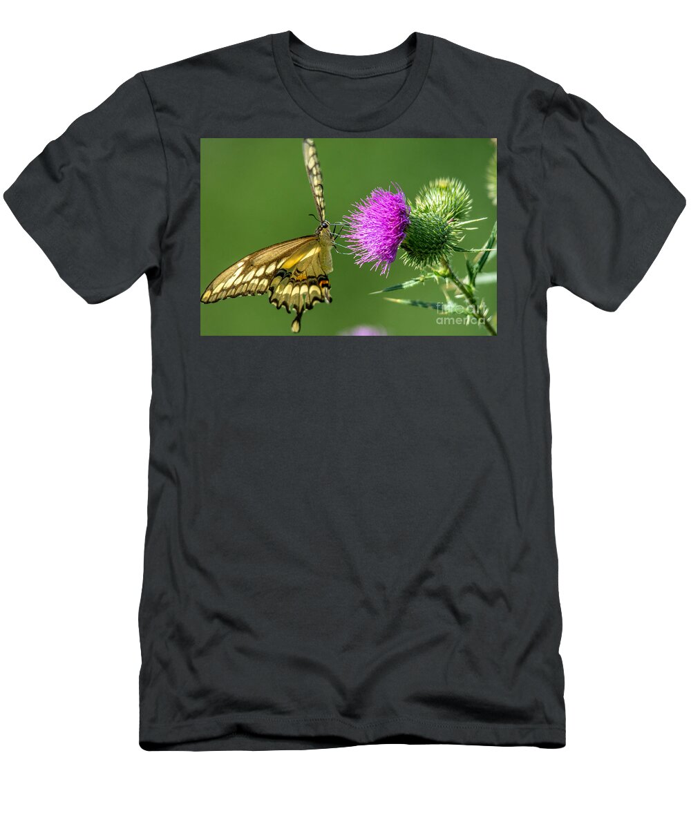 Cheryl Baxter T-Shirt featuring the photograph Beautiful Giant Butterfly by Cheryl Baxter
