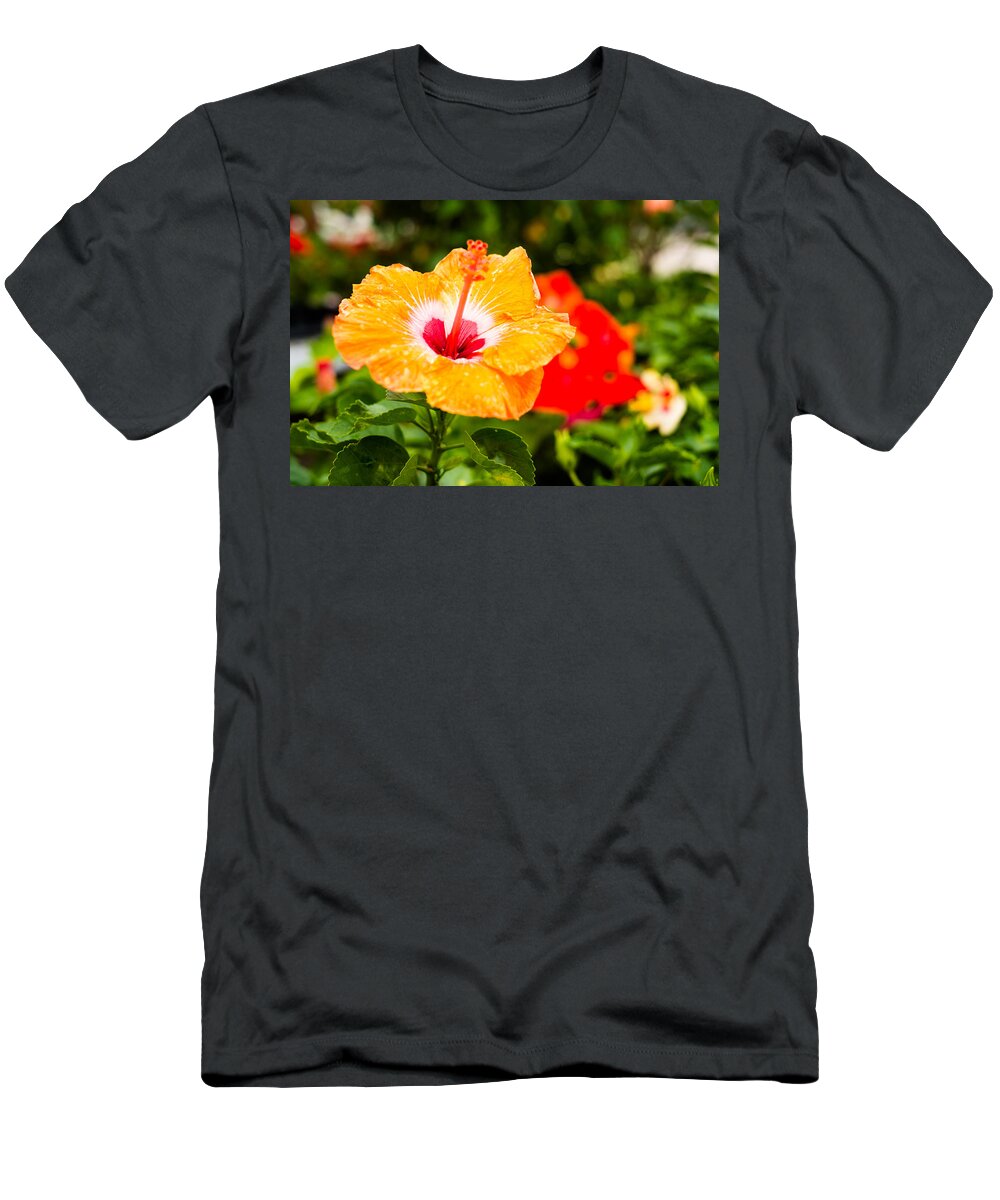 Beautiful T-Shirt featuring the photograph Beautiful Hibiscus by Raul Rodriguez