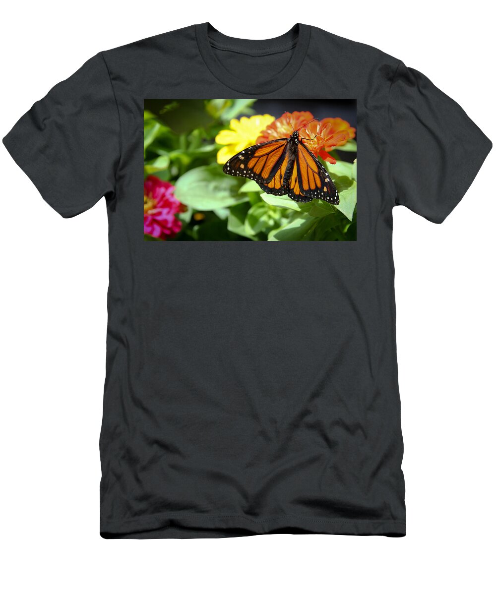 Butterfly T-Shirt featuring the photograph Beautiful Monarch Butterfly by Patrice Zinck