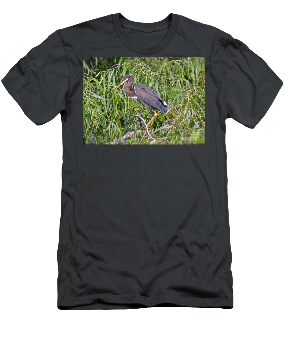 Heron T-Shirt featuring the photograph Beautiful Tricolored Heron by Carol Bradley