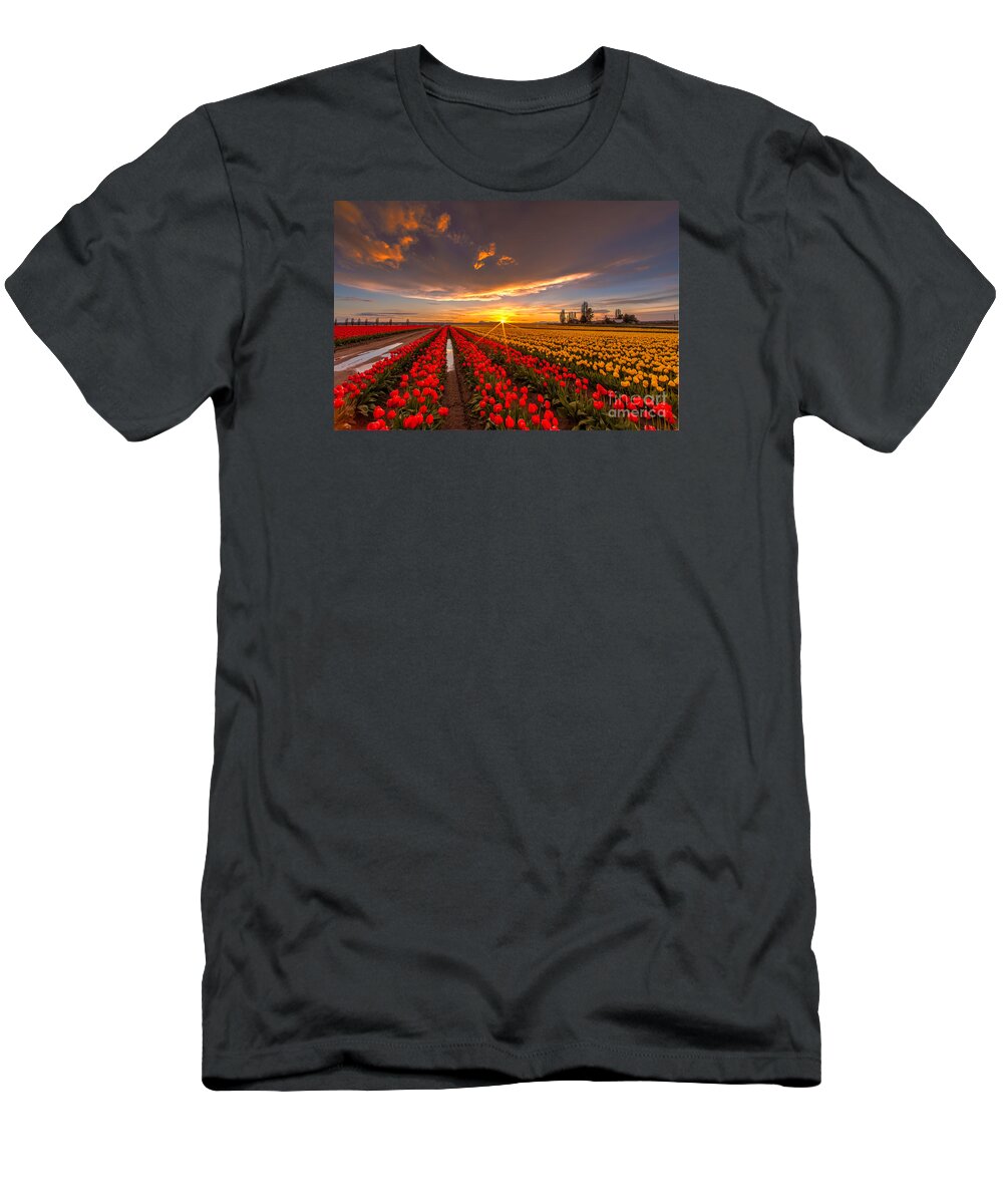 Tulip Fields T-Shirt featuring the photograph Beautiful Tulip Field Sunset by Mike Reid